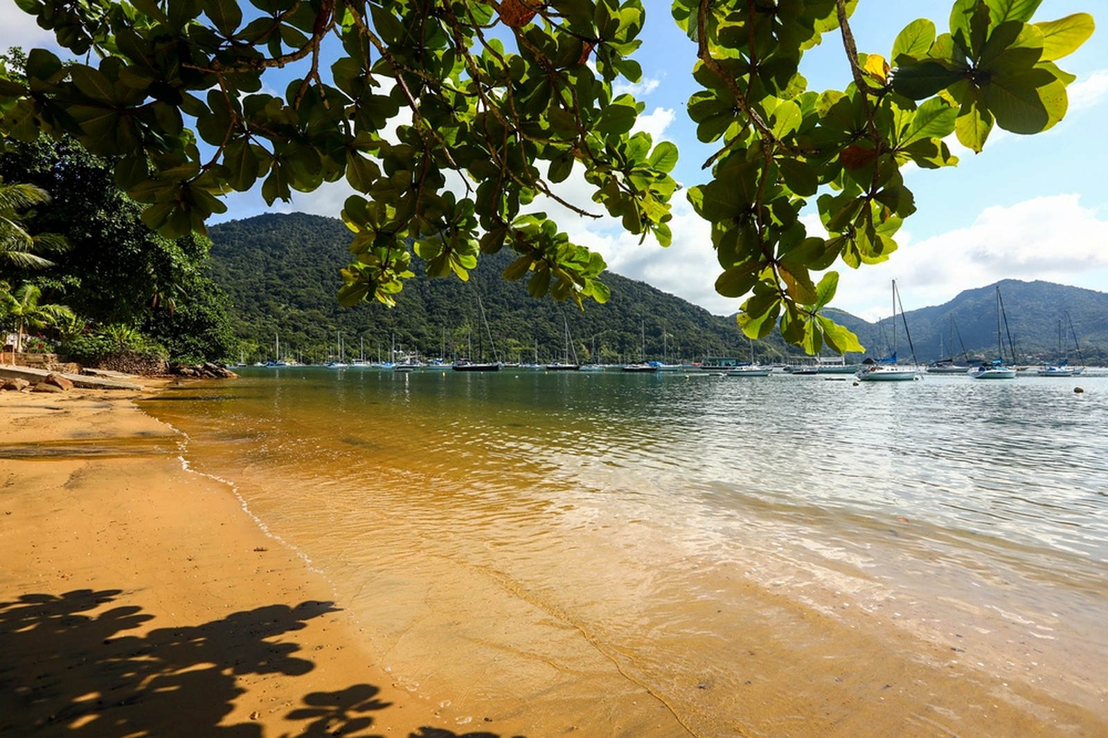 Areia clara e sombra de mata na Praia da Ribeira